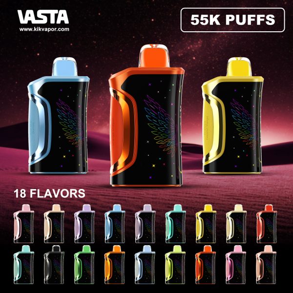 VASTA VS55000 Disposable Vape